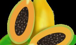 吃瓜爆料素材下载安装免费,吃瓜爆料背后的真相与幕后故事